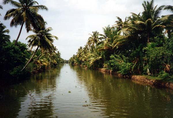 cochin8.jpg